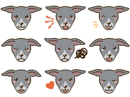 Italian Greyhound with various facial expressions(blue and white)のイラスト素材