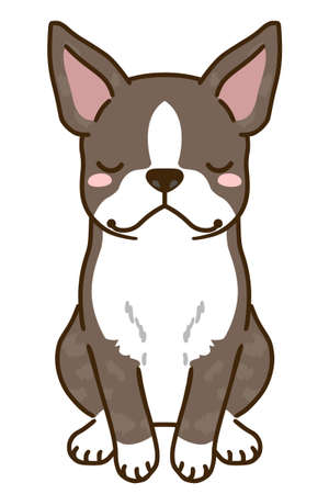 Boston terrier greeting(Brindle with White)のイラスト素材