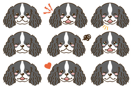 American Cocker Spaniel with various facial expressions(black and white)のイラスト素材