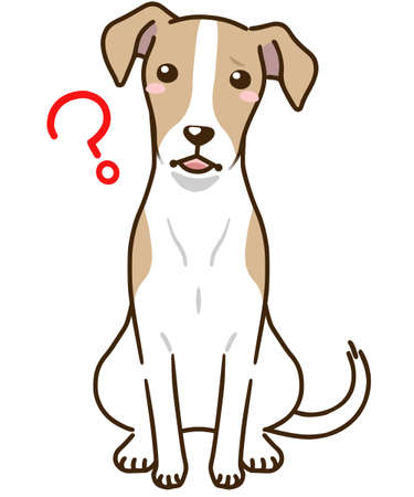 Whippet that don't understand(brown and white)のイラスト素材