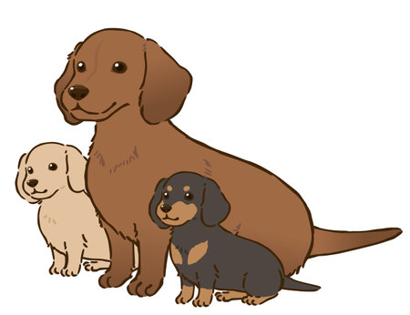 Dachshund parents and childrenのイラスト素材