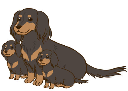 Dachshund parent and child (long coat, black tan)のイラスト素材