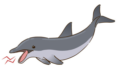 Angry bottlenose dolphinのイラスト素材