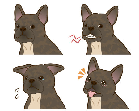 French Bulldog Joy and Sorrow Set (Brindle)のイラスト素材
