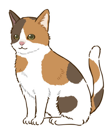 Sitting cat (calico cat)のイラスト素材