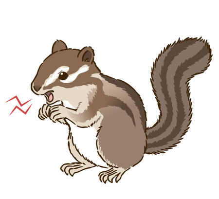 Angry chipmunkのイラスト素材