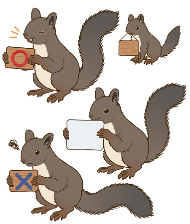 Japanese squirrel with signのイラスト素材