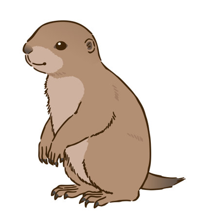 Prairie dogのイラスト素材