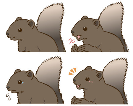 Taiwan Squirrel Joy and Sorrow Setのイラスト素材