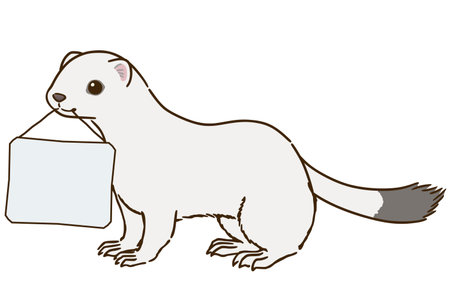 Stoat (winter hair) holding a message boardãのイラスト素材