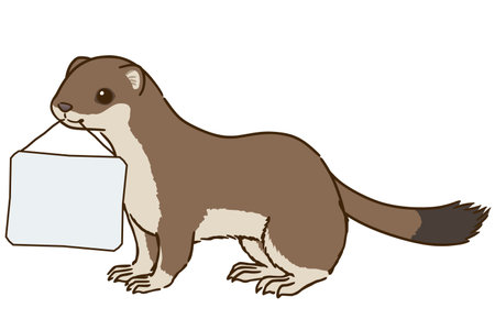 Stoat (summer hair) holding a message boardのイラスト素材