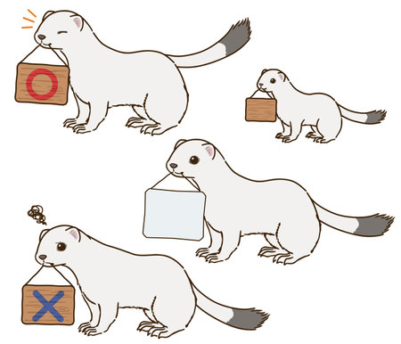Stoat with sign (winter hair)ãのイラスト素材