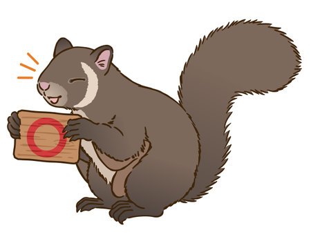 Flying squirrel holding a sign depicting a circle markのイラスト素材