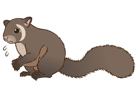 Grieving flying squirrelのイラスト素材