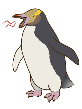 Angry Yellow-bellied Penguinのイラスト素材