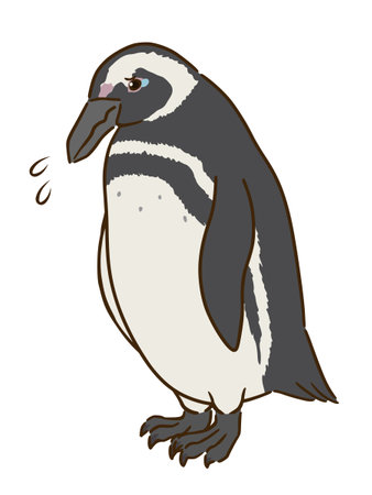 Magellanic penguins grievingのイラスト素材