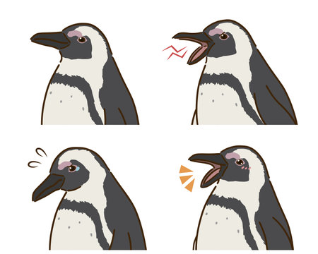 Cape Penguin Joy and Sorrow Setのイラスト素材