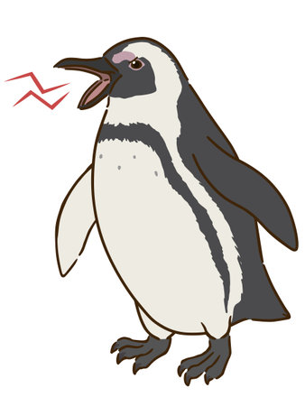 Angry Cape Penguinsのイラスト素材