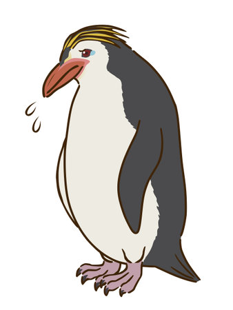 Grieving Royal Penguinsのイラスト素材