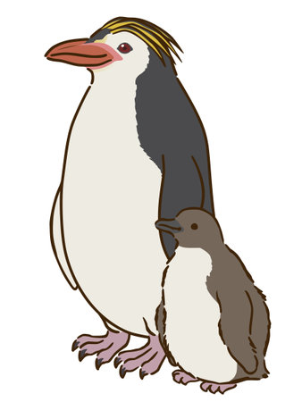Royal Penguin Parent and Childのイラスト素材