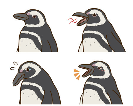 Magellanic Penguin Joy and Sorrow Setのイラスト素材