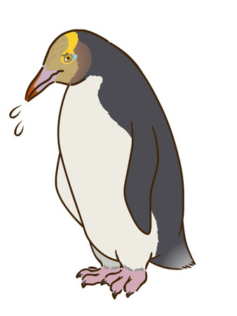 Savory penguinのイラスト素材