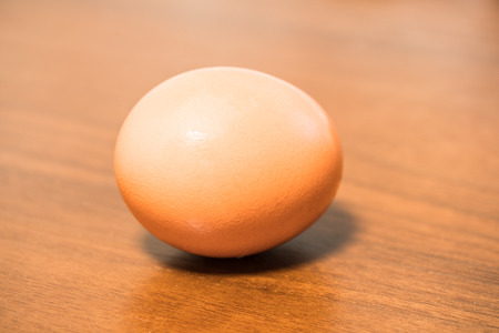 Egg