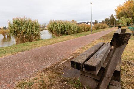 Bench in a park near the lake with a nice view during autumnの写真素材