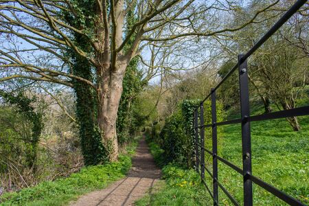 Path in the forest near Peterboroughの写真素材