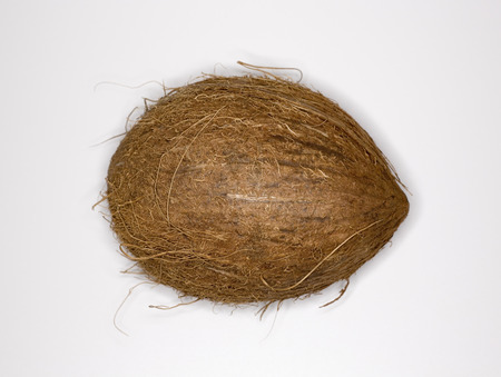Coconut against white backgroundの写真素材