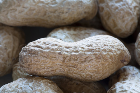 roasted peanuts in their shells