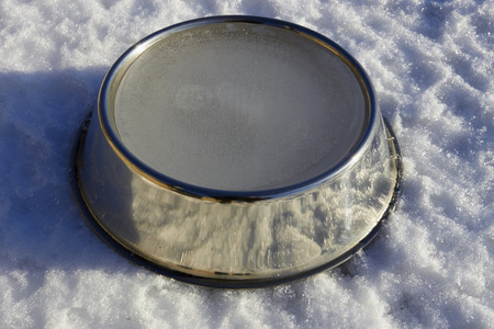 frozen bowl of waterの写真素材