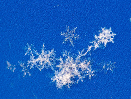 macro photo of real snowflakes against blue backgroundの写真素材