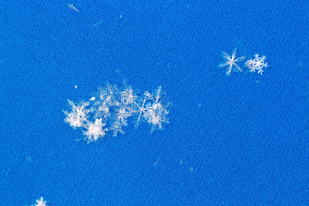 macro photo of real snowflakes against blue backgroundの写真素材