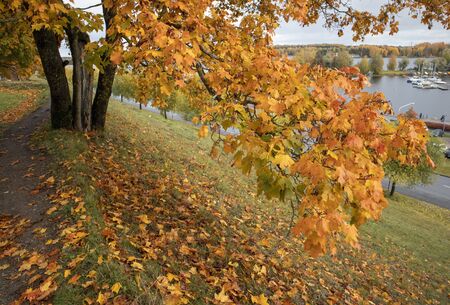 autumn scenery in city park, Lappeenranta Finland
