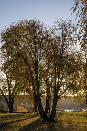 autumn foliage in city park, Lappeenranta Finland