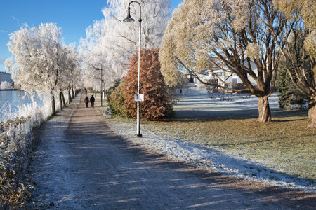 Frosty landscape in late autumn, Oulu Finlandの写真素材