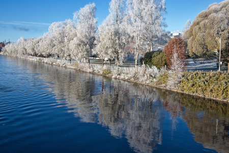 Frosty landscape in late autumn, Oulu Finlandの写真素材