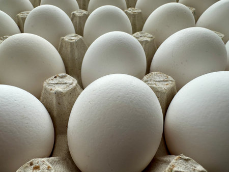 White eggs in a carton box, close-up, background