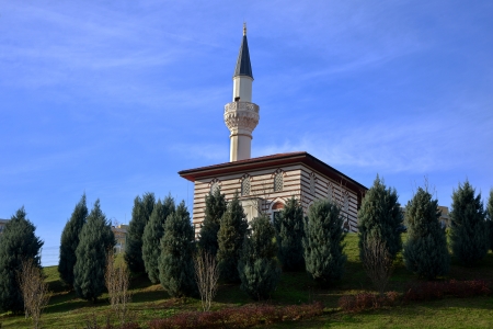 through the trees seemingly small mosqueの写真素材