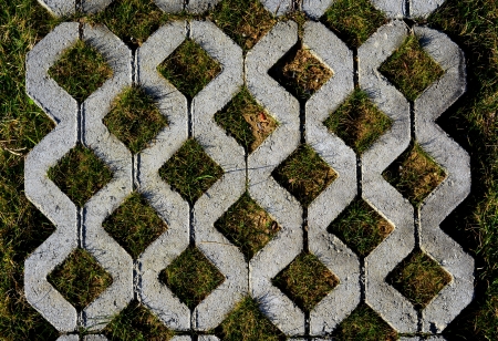  Grass between stones, block pavingの写真素材