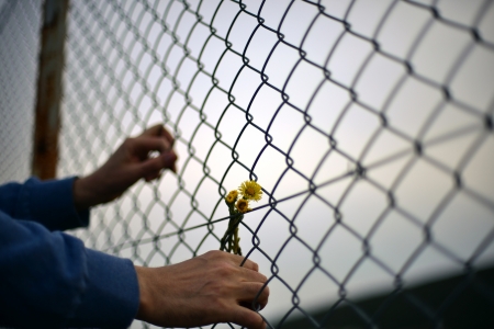 wire fence holding hands and backgroundの写真素材
