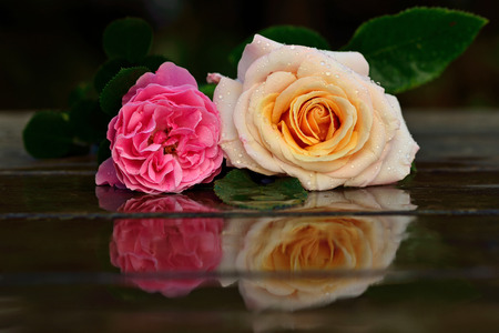 rose bouquet on wooden tableの写真素材