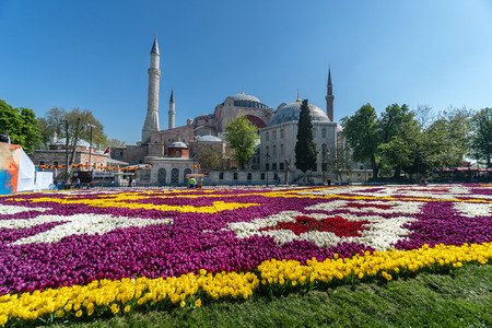 ISTANBUL, TURKEY - APRIL 27, 2017: World's largest âTulip Carpet' in Istanbul. Tulip Carpet exhibited in the historic Sultanahmet Square during tulip festival.のeditorial素材