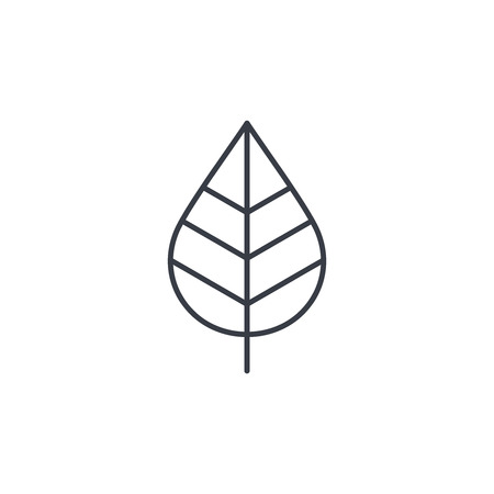 leaf, green, eco thin line icon. Linear vector illustration. Pictogram isolated on white backgroundのイラスト素材