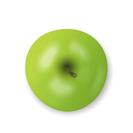 Green apple isolated on white background. Fresh snack, healthy food concept. Closeup Vector 3d illustration, top view. Transparent shadows.のイラスト素材