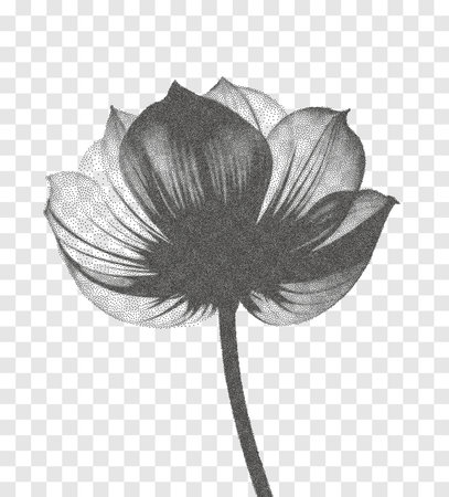 Transparent dot art flower, halftone collage design element. Grunge cut out sticker. Noise grain gradient, stipple texture effect. Trendy modern retro vector floral illustration. Duotone overlay styleのイラスト素材