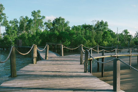Wooden bridge in the mangrove forest with blue sky backgroundの写真素材