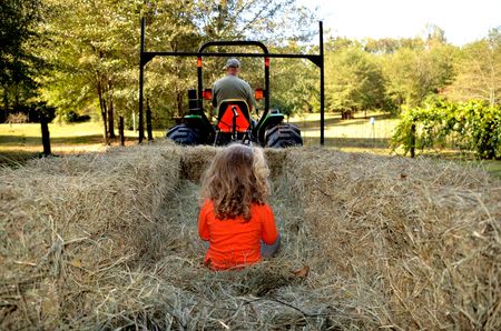 Young girl on hay rideの写真素材