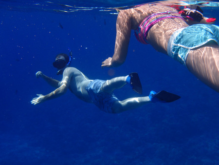 Snorklers in tropical Maui, Hawaiiの写真素材